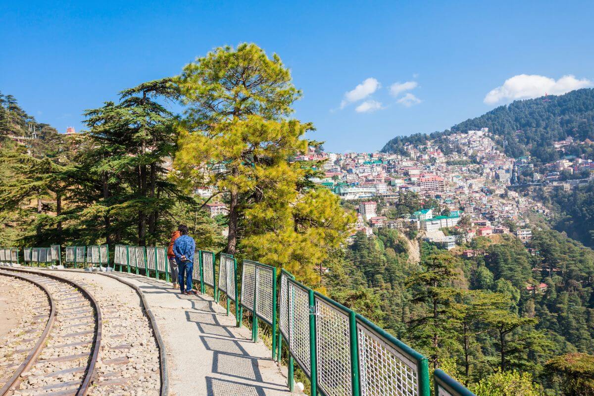 Shimla